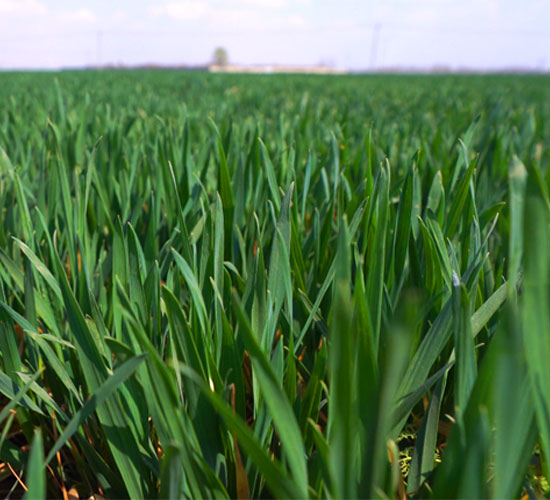 1765335596961642.jpg 550-500-产品图5.jpg